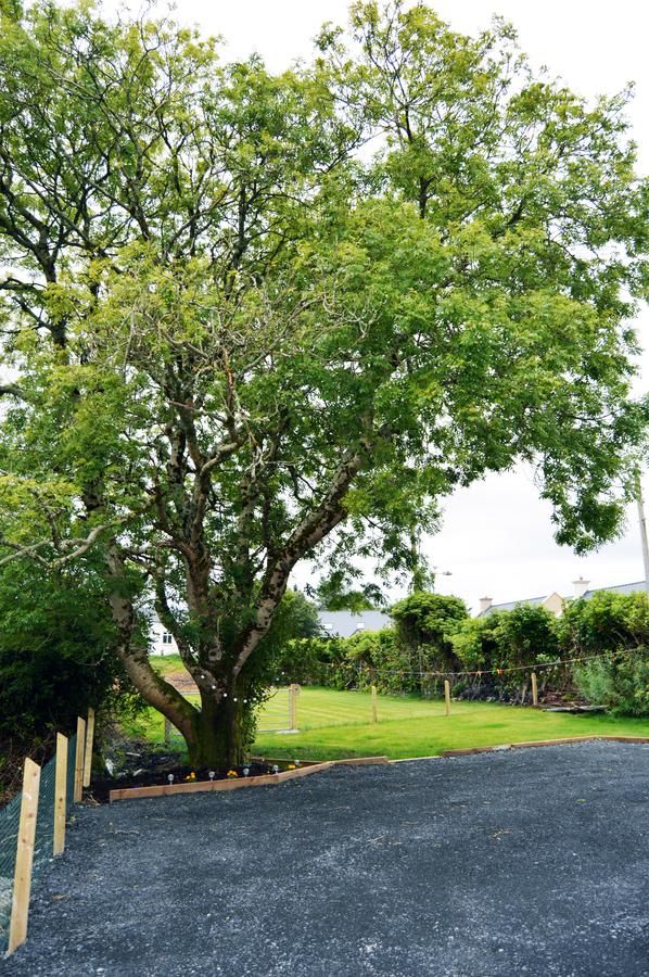 Дома для отпуска Ash Tree Cottage Bangor-9